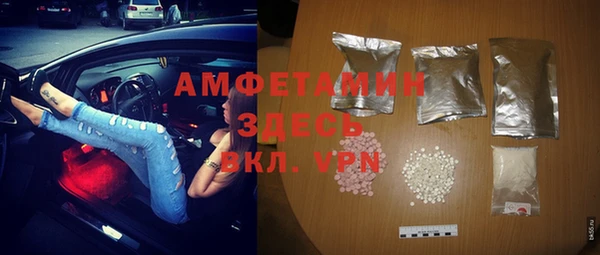 индика Арсеньев