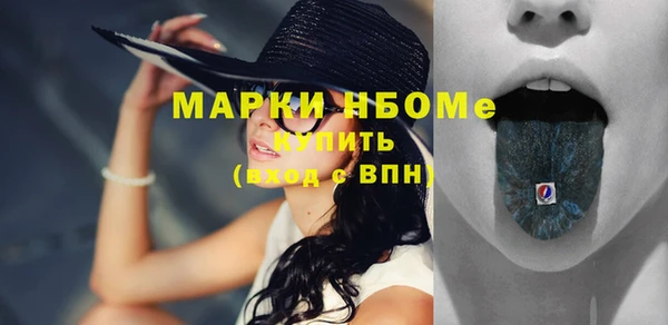 шишки Баксан