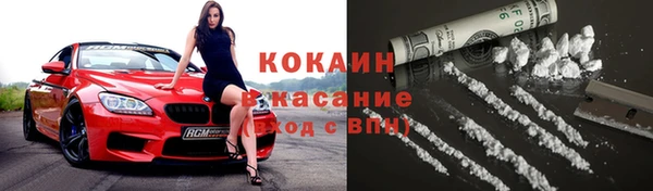 шишки Баксан