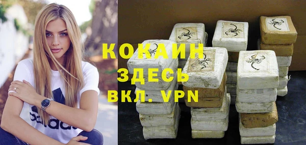 шишки Баксан