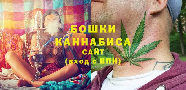 шишки Баксан