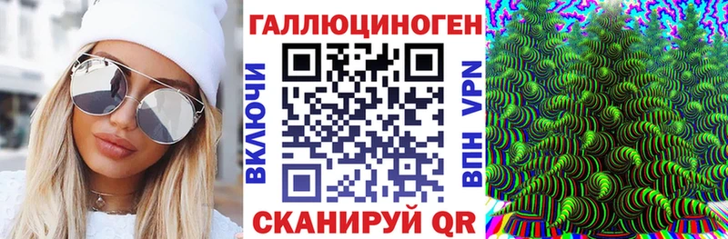 Псилоцибиновые грибы Cubensis  где купить наркотик  Магас 